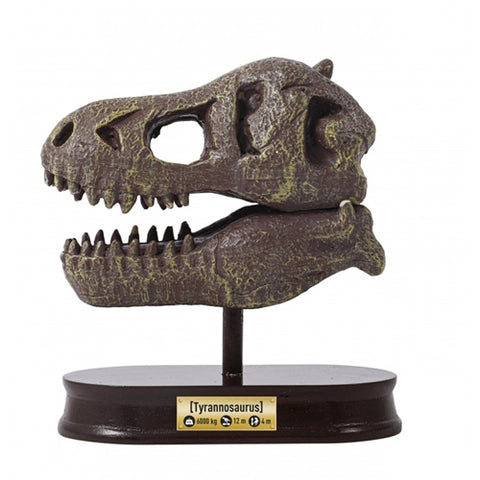 Kit Buki France de Sapat Craniu T-Rex
