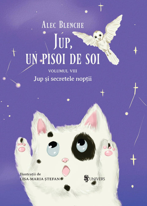 Jup, un pisoi de soi – volumul VIII – Jup si secretele noptii