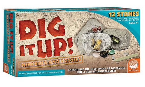 Dig It Up! Fossils  Minerals