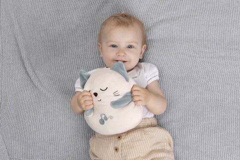 Jucarie muzicala interactiva Chicco Pisicuta care toarce, 0luni+