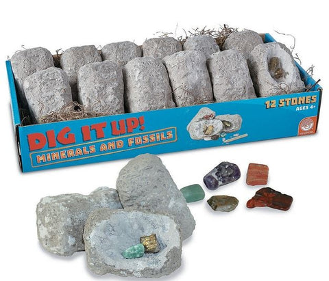 Dig It Up! Fossils  Minerals