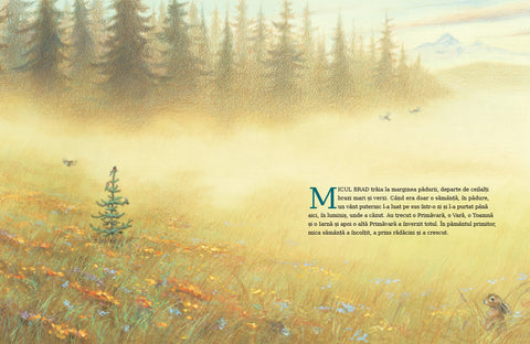 Micul brad de Margaret Wise Brown ilustratii de Jim LaMarche