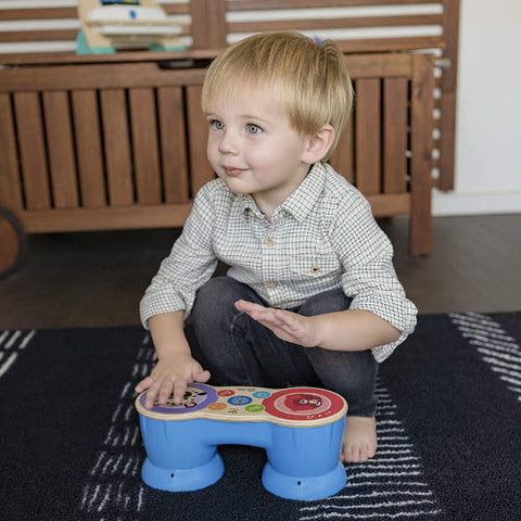 Baby Einstein - Jucarie Muzicala Tobe Hape Magic Touch