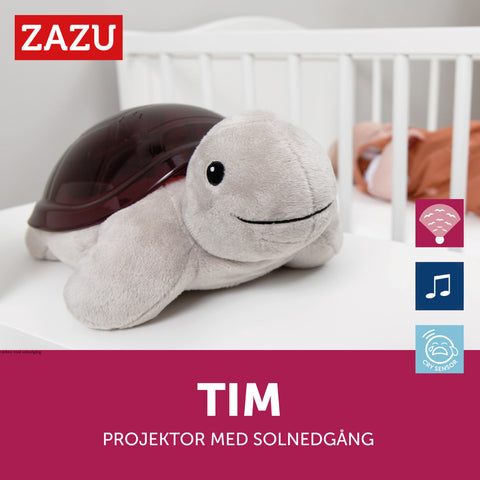 Testoasa Tim - Proiector Muzical