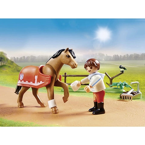 Playmobil  - Set de Constructie Playmobil Figurina Colectie Ponei Connemara