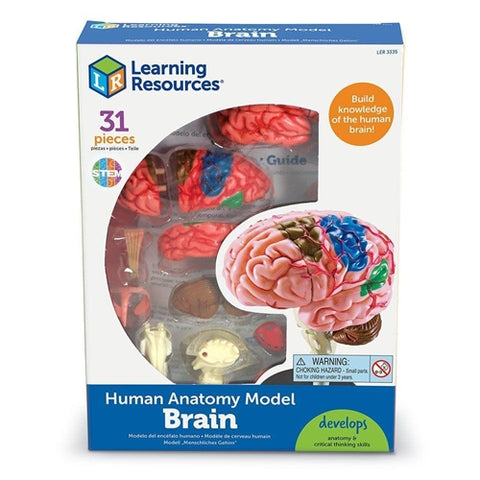 Joc Learning Resources Macheta Creierul Uman