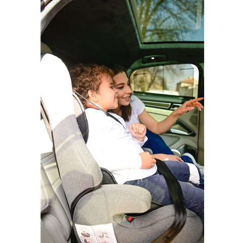 Lorelli  - Scaun Auto Lorelli cu Isofix Harmony String Beige 9-36 kg