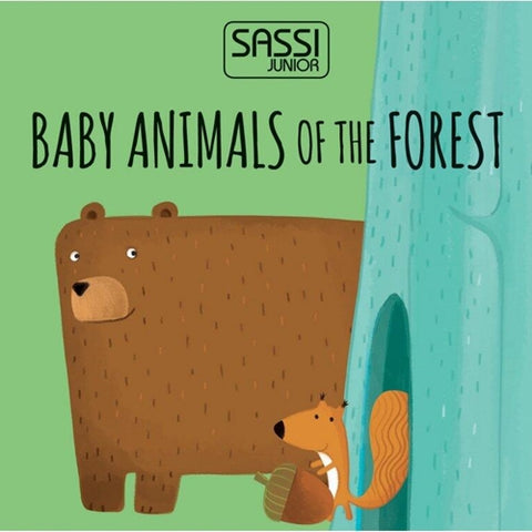 Sassi-Eco-Blocks - Animalutele si puii lor