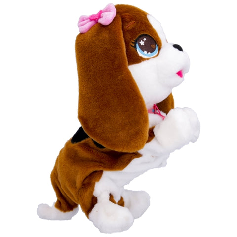 IMC - Catelus Interactiv IMC Susy