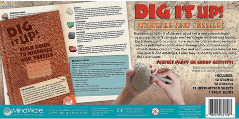 Dig It Up! Fossils  Minerals